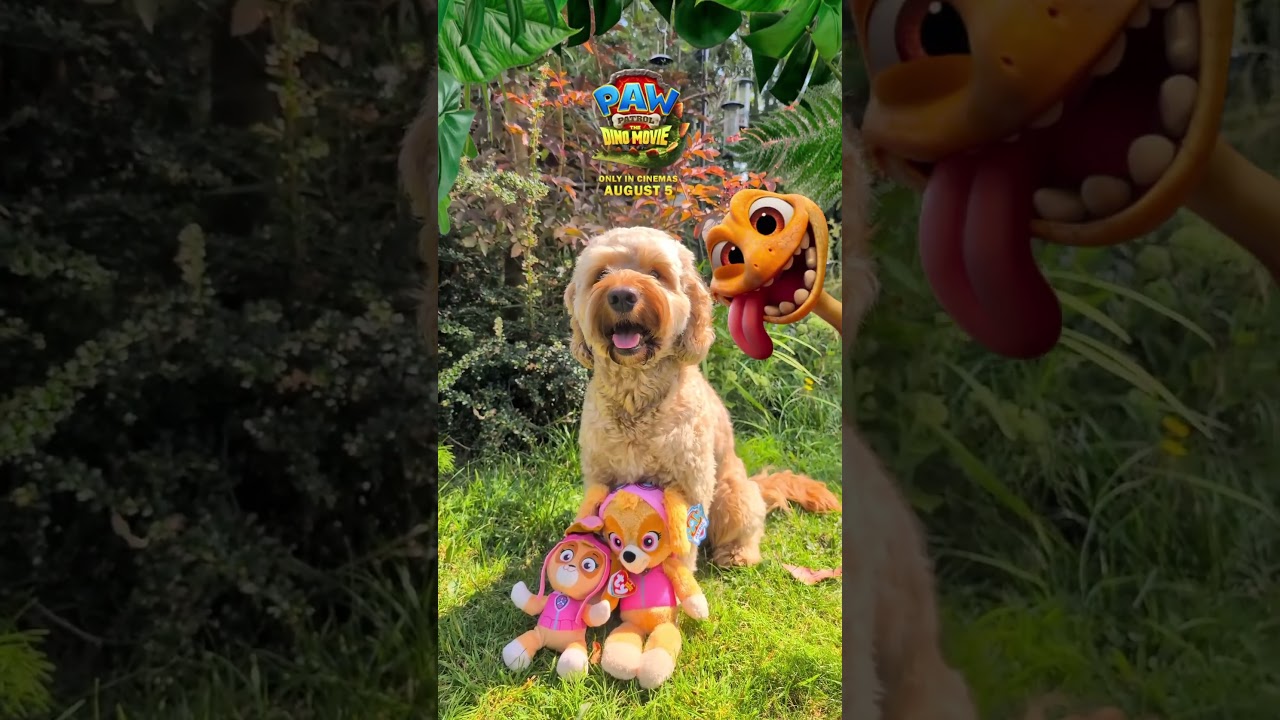 Paw Patrol: The Dino Movie | TikTok Lens | Paramount Pictures UK