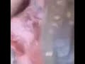 اكبر معمر في العالم يمني mp3