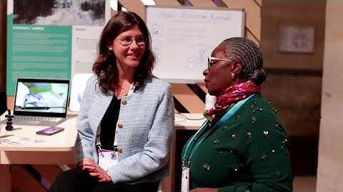 Accelerating solutions for global impact: discover our Scale-Up Program