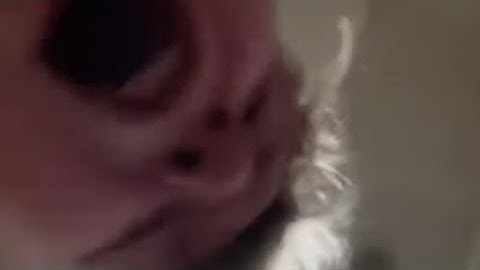 Lord x Test again (Stick nodes animation)