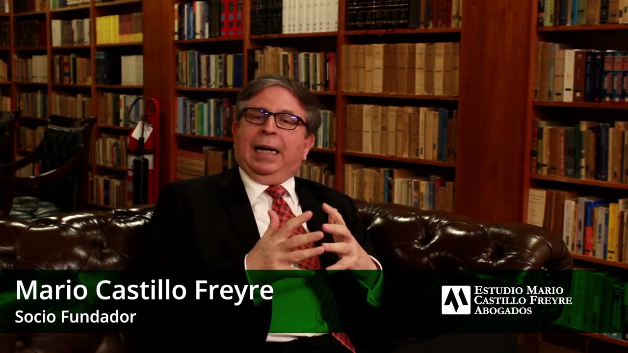 La imputación del pago - Mario Castillo Freyre