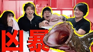 ［閲覧注意］素人が生きたアンコウを激ウマ唐揚げにしてやる！！