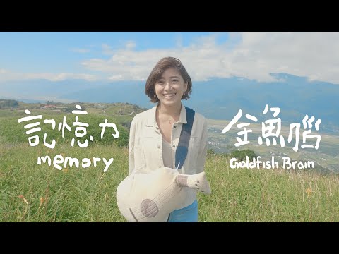 【記憶力 Memory】金魚腦 Goldfish Brain 《我有話要唱》(Official Music Video)