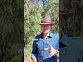 Healthy soil = healthy gut.