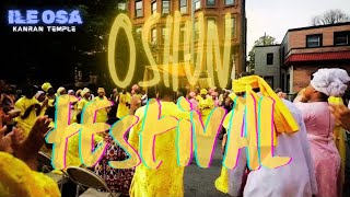 OGUN VIBRATION✨ In Annual Oshun Festival