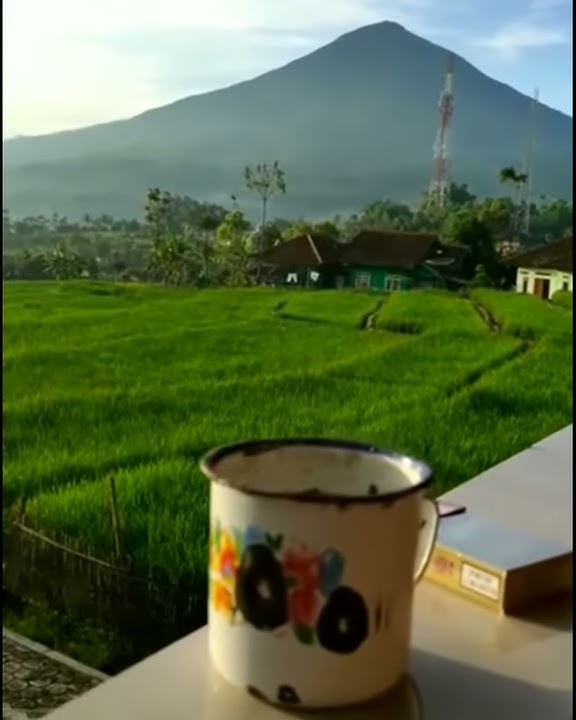 Story wa secangkir kopi dan melihat[MATAHARI TERBIT]darso-sakur ngimpi