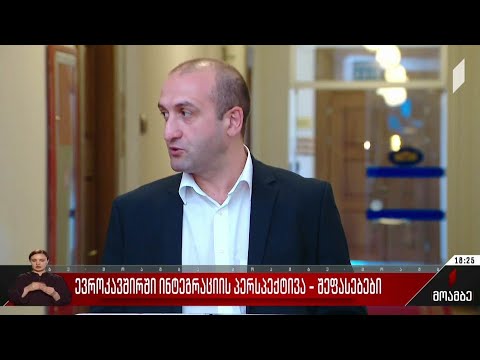 ევროკავშირში ინტეგრაციის პერსპექტივა - შეფასებები