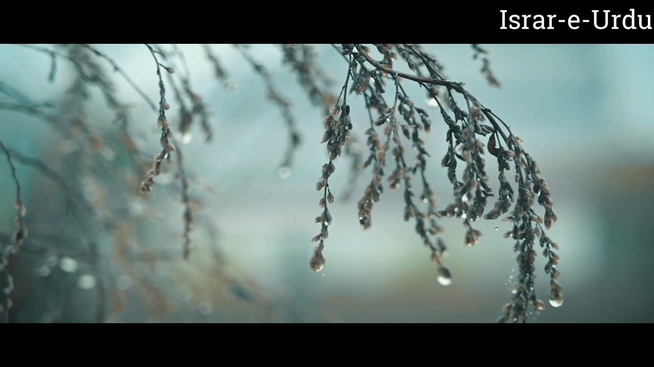 Kaloo Bhangi | Israr-e- Urdu| Krishan Chander| Afsana by Krishan Chander | Dr. Amjed Ali Babar