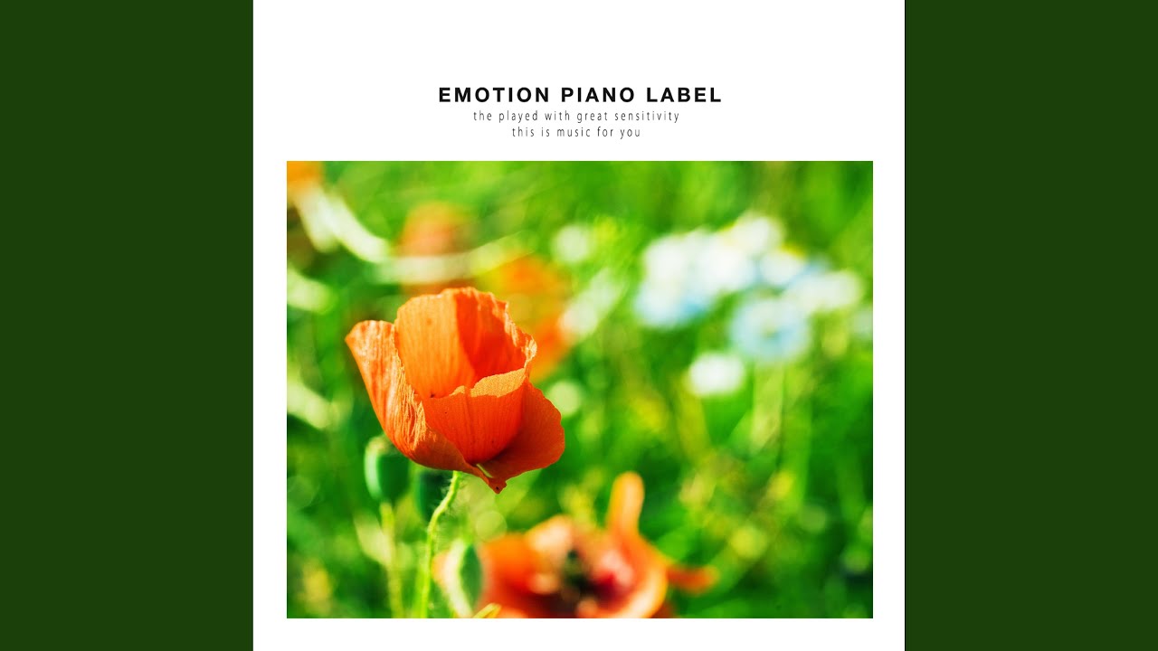 Train travel YouTube