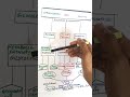 3 in 1 flowchart|metabolism|neet exam|
