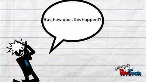 Social Identity, Sport Management, Group Dynamics