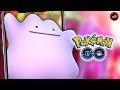 NUEVAS ESPECIES EN QUE DITTO SE TRANFORMA!! 1523 POKEMON GO