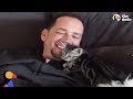 Dog Person Falls in Love with Foster Kitten And Now They're Inseparable | The Dodo