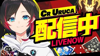 うるかの配信のサムネイル画像