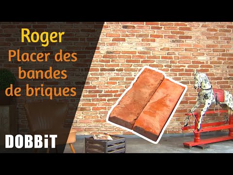 Vidéo: Brique Pleine: La Taille Des Briques De Parement Simples Et Un Et Demi M200 Et M100, Caractéristiques Du Matériau De Travail Avant