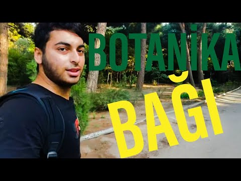 Video: Nikitsky Nəbatat Bağı