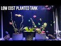 Low tech planted tank using organic compost garden soil  no co2 no fertilizer planted aquarium