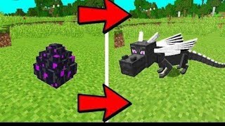 How to hatch ender dragon egg Minecraft pocket edition in all versions screenshot 5