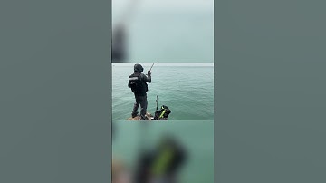 Câu cá Tráp ở Cát bà - Hải Phòng #fishing #cauca