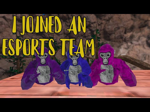 Gorilla Tag Esport Team And Tournaments