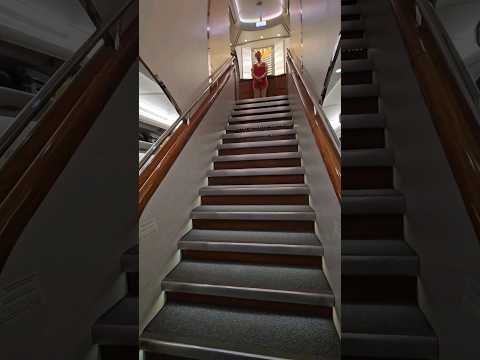 Emirates A380 EK355 travel from sin to dxb ✈️ #aviation #airbusa380 #ek #singapore to Dubai #shorts