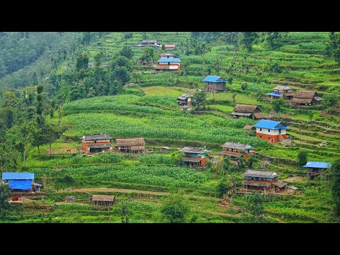 Video: Esai Foto: Dulal Village, Nepal - Rangkaian Matador