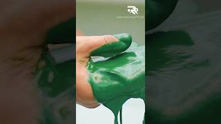 Budidaya Alga Spirulina
