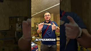 ДУМАЮ ПОРА В РАЗРЕЗЕ ПОКАЗАТЬ🐟 #вобла #астрахань #рыба
