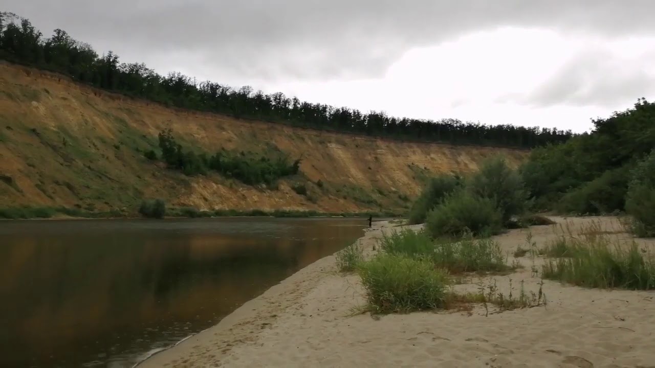 Кривоборье пляж воронежская область