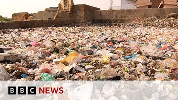 Earthshot Prize winner aims to tackle food waste in India - BBC News