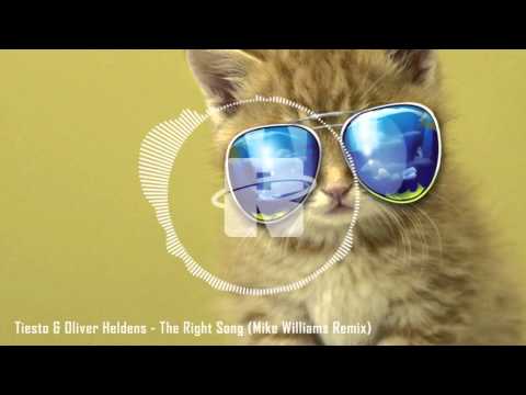 Tiesto & Oliver Heldens - The Right Song (Mike Williams Remix) [FULL SONG]