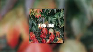 Video thumbnail of "Trinidad - Instrumental Dembow Dominicano Type Beat (El Alfa x Chimbala) Prod. Came Beats"