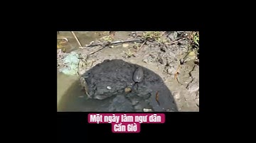 Trải nghiệm Một ngày làm ngư dân Cần Giờ