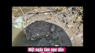 Trải nghiệm Một ngày làm ngư dân Cần Giờ