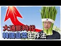 韓國年輕人用身體理財!? 大通膨時代韓國韭菜生存法 | 韓國人為什麼 | 胃酸人