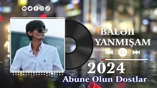 Balaeli-Yanmısam(2024) Resimi