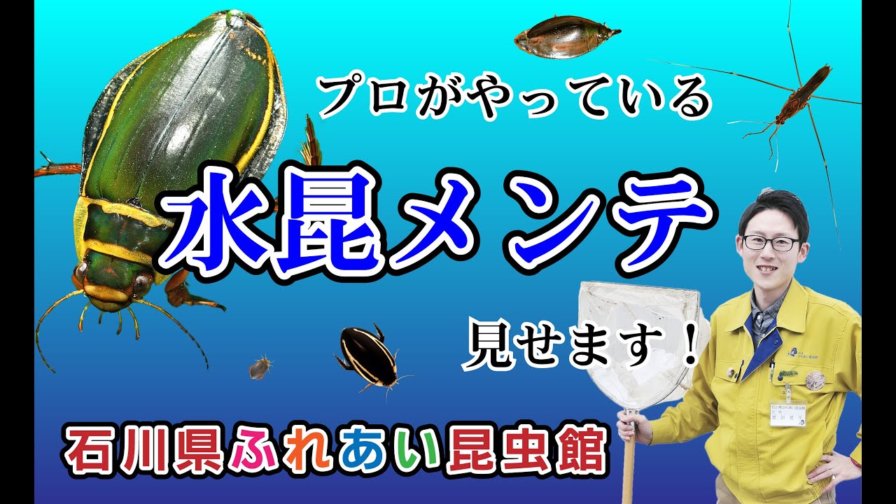 ～モーニングルーティン～　そんなに教えていいの！？プロの水昆メンテ見せます！