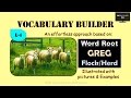 Word Root - Greg, and derived words Illustrated (Vocabulary L-4)