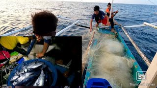 Baranggayan other way catching tulingan (fishing net)