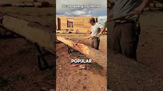 Why Don't Americans Build Real Log Homes! 🏠 #shorts #usa #america