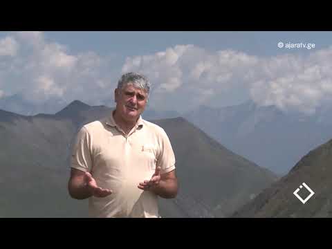 ბუნების კანონი-ასი ველური მცენარე