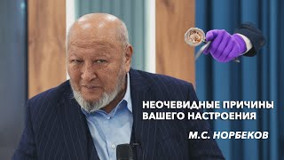 Внутренние факторы влияния на ваше настроение М.С. Норбеков