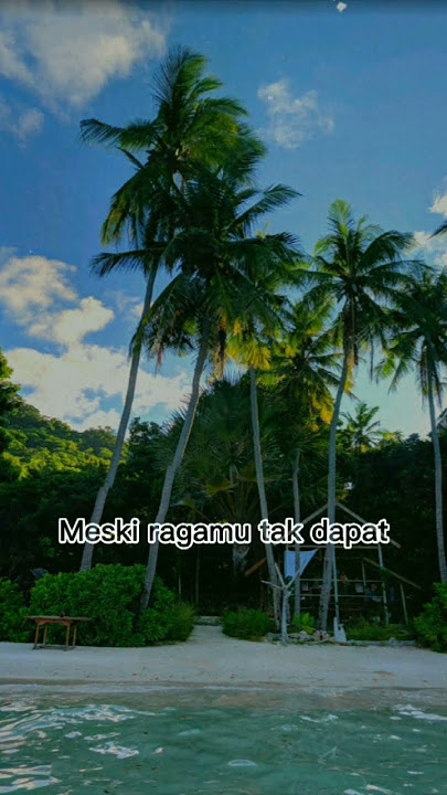 The virgin I Cinta Terlarang