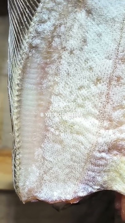 Вкусный камбала-ерш для Сергея из Ленинградской области. - YouTube