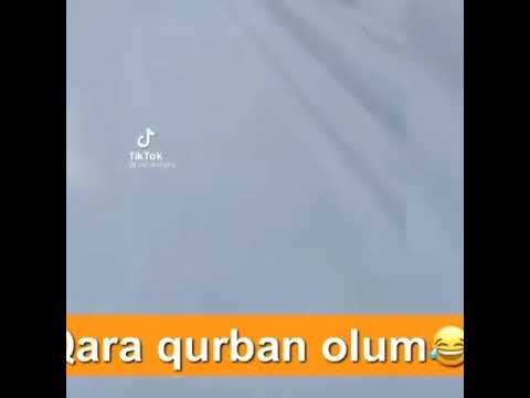 @LAMARTV.01 Bakıya qar yagır. Prikol Qara qurban olum.😀