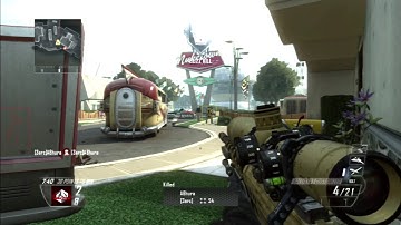 Black ops II 1.19 Paradox Framework