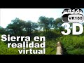 Árbol caído | Bosque de la primavera | Realidad virtual | Episodio #14