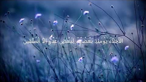الاخلاء يومئذٍ بعضهم لبعضٍ عدو إلا المتقين😢بصون القارئ انس الغامدي💙🎧 تلاوة هادئة مريحة للسمع