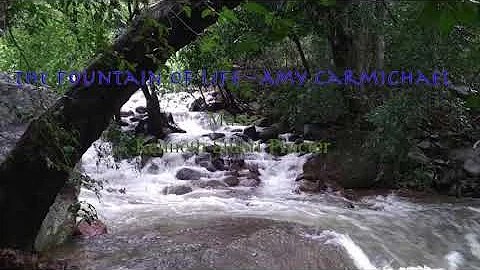 The Fountain of Life - Amy Carmichael