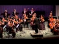 W.A. Mozart - Symphony No. 40 g-moll - I